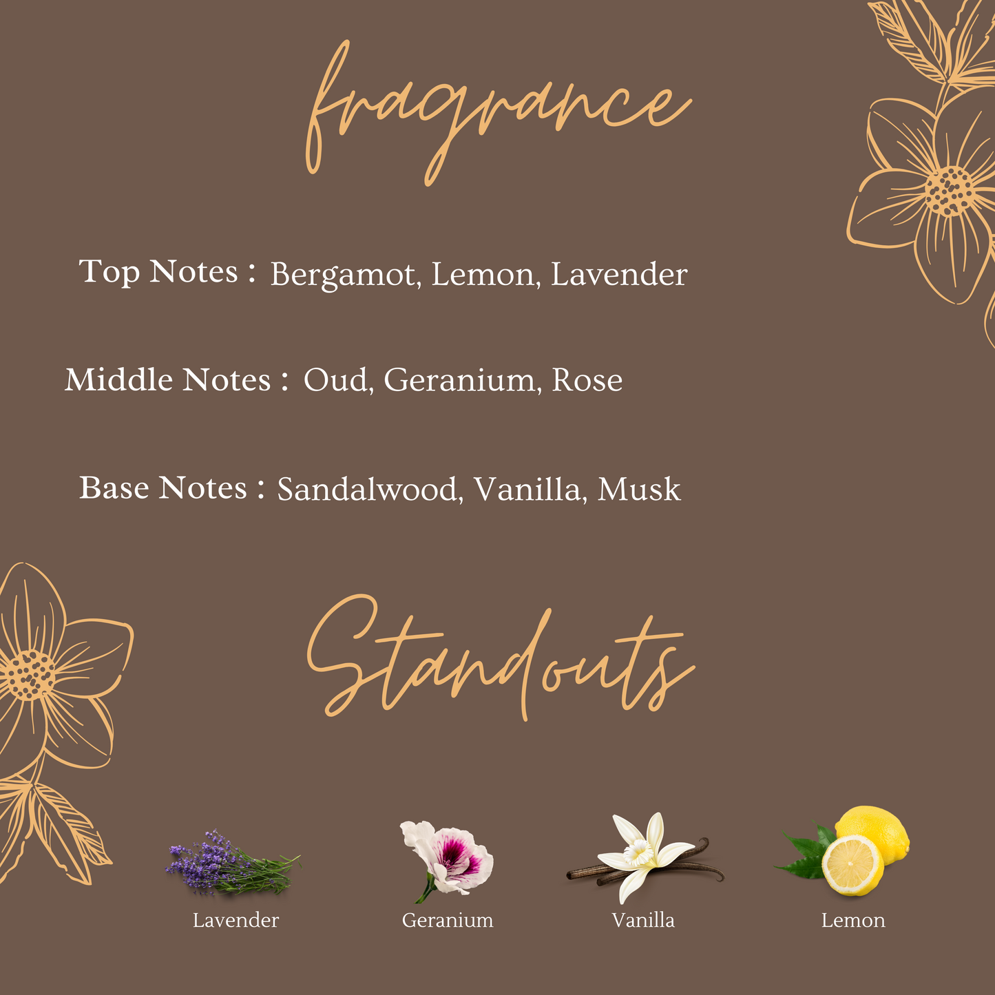 Deep Sensations - Spicy & Musky 10 ml