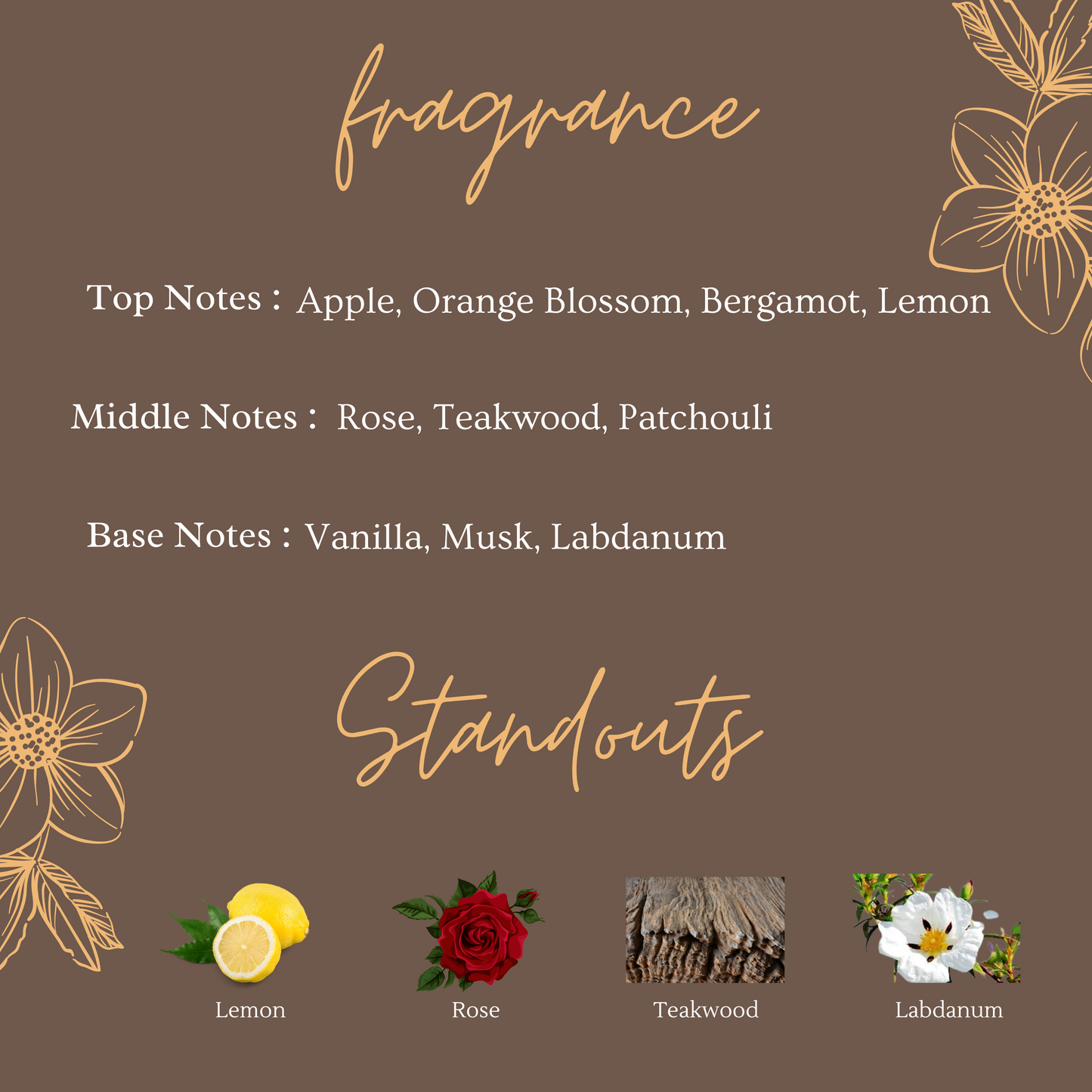 Midnight Rose -  Seductive & Warm 10 ml